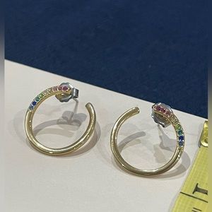 Rainbow Swirl Earrings